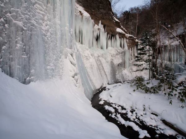 絶景!白老カジカ沢氷瀑ツアーに参加しませんか？