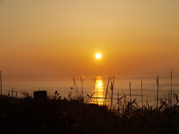 撮った写真をお披露目致しませんか？