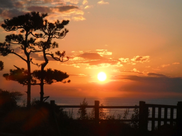 今日の朝日～平成26年8月26日