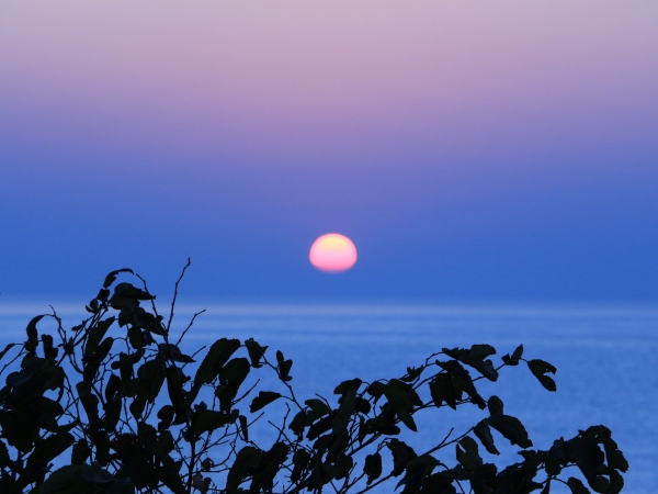 今日の朝日～平成26年10月09日