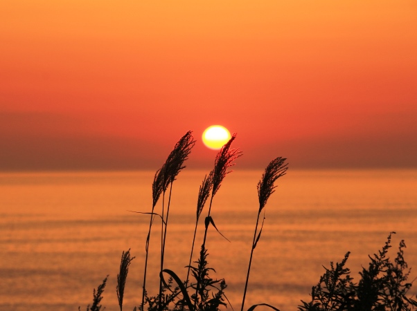 海の別邸ふる川から見える今日の朝日～平成27年09月23日