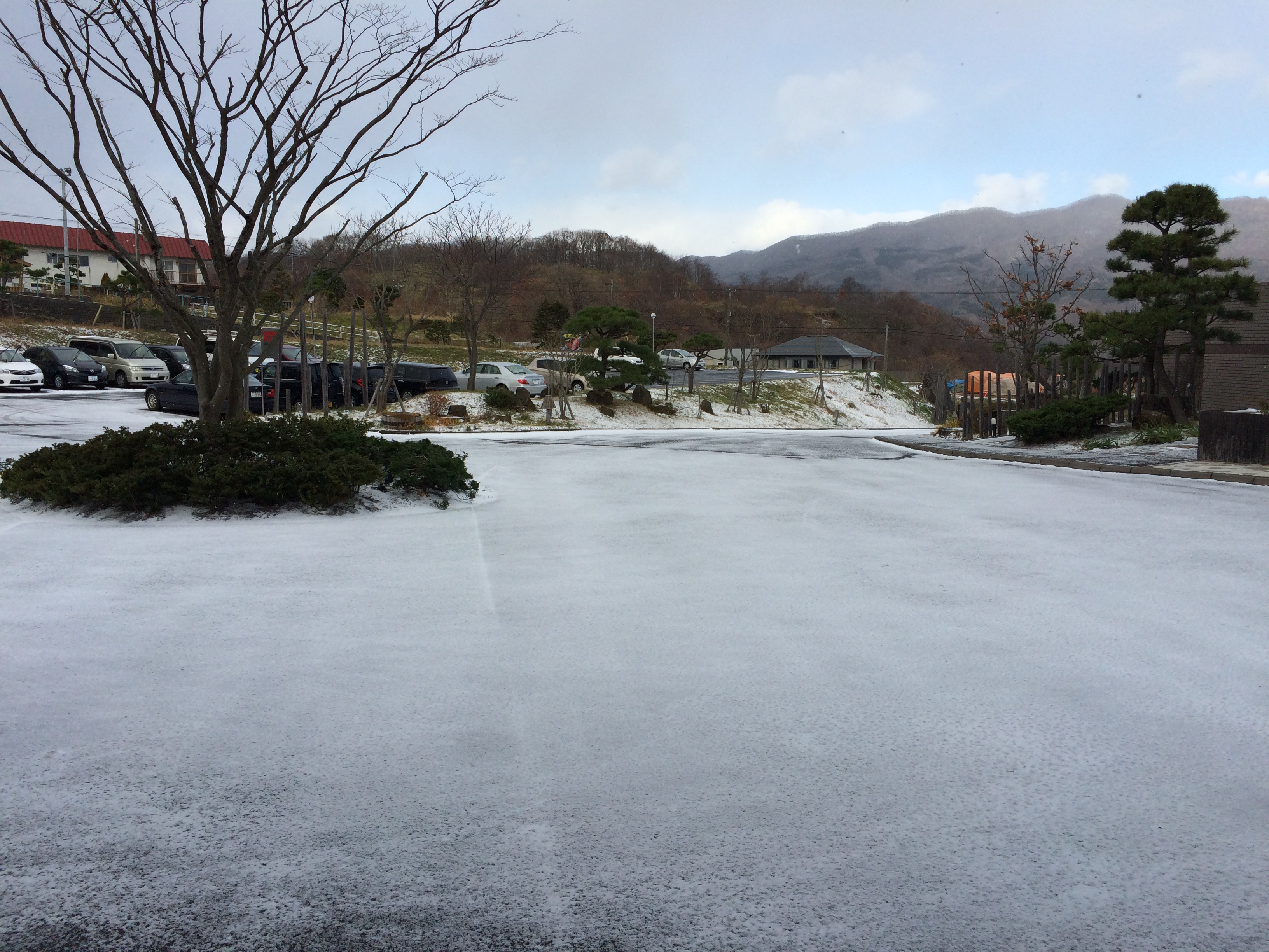 虎杖浜も雪景色です